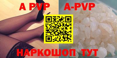 скорость Кингисепп