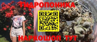 MDMA Premium VHQ Кинель
