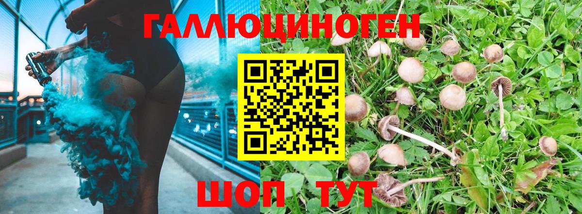 Псилоцибиновые грибы мухоморы Кушва